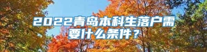 2022青岛本科生落户需要什么条件？