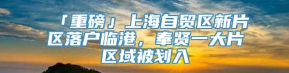 「重磅」上海自贸区新片区落户临港，奉贤一大片区域被划入