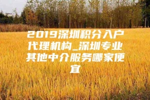 2019深圳积分入户代理机构_深圳专业其他中介服务哪家便宜