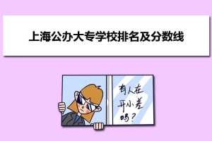 (三)、2021年上海最好的公办专科(大专)院校有哪些 附历年录取分数线