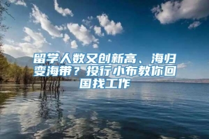 留学人数又创新高、海归变海带？投行小布教你回国找工作