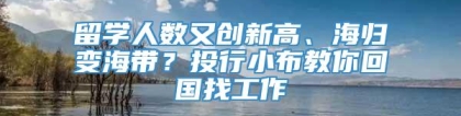 留学人数又创新高、海归变海带？投行小布教你回国找工作