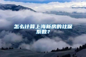 怎么计算上海新房的社保系数？