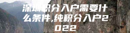 深圳积分入户需要什么条件,纯积分入户2022