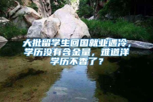 大批留学生回国就业遇冷，学历没有含金量，难道洋学历不香了？