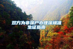 双方为非深户办理深圳准生证指南