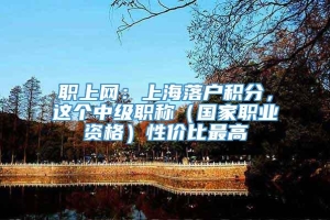 职上网：上海落户积分，这个中级职称（国家职业资格）性价比最高