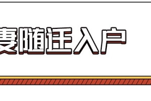 随迁入户深圳办理攻略来啦！不要求学历，符合条件的抓紧办！