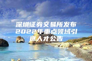 深圳证券交易所发布2022年重点领域引进人才公告