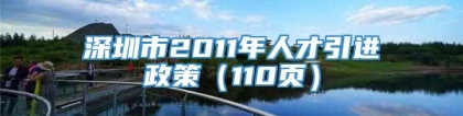 深圳市2011年人才引进政策（110页）