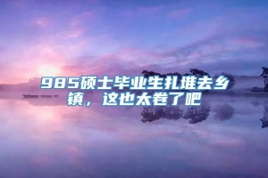 985硕士毕业生扎堆去乡镇，这也太卷了吧