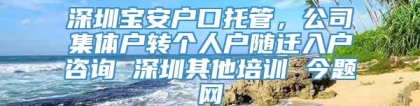 深圳宝安户口托管，公司集体户转个人户随迁入户咨询 深圳其他培训 今题网