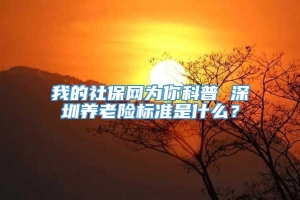 我的社保网为你科普 深圳养老险标准是什么？