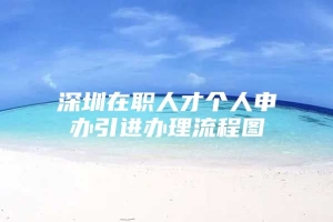 深圳在职人才个人申办引进办理流程图