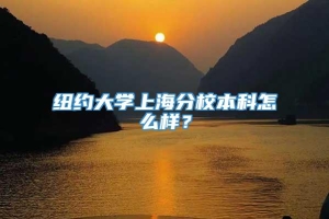 纽约大学上海分校本科怎么样？