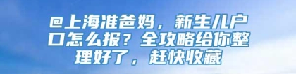 @上海准爸妈，新生儿户口怎么报？全攻略给你整理好了，赶快收藏