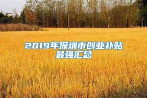 2019年深圳市创业补贴最强汇总