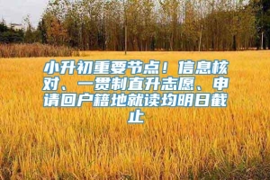 小升初重要节点！信息核对、一贯制直升志愿、申请回户籍地就读均明日截止