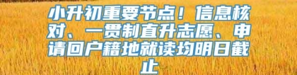 小升初重要节点！信息核对、一贯制直升志愿、申请回户籍地就读均明日截止