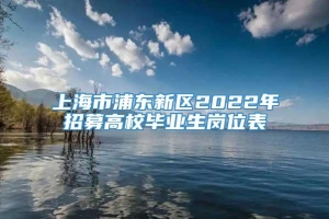 上海市浦东新区2022年招募高校毕业生岗位表