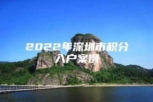 2022年深圳市积分入户案例