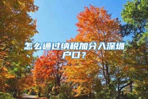 怎么通过纳税加分入深圳户口？