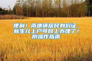 便利！南康镇居民身份证，新生儿上户可网上办理了！附操作指南