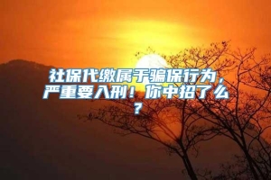 社保代缴属于骗保行为，严重要入刑！你中招了么？