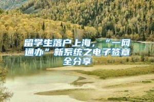 留学生落户上海，“一网通办”新系统之电子签章全分享