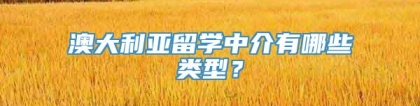 澳大利亚留学中介有哪些类型？