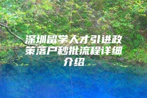 深圳留学人才引进政策落户秒批流程详细介绍