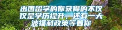 出国留学的你获得的不仅仅是学历提升，还有一大波福利政策等着你