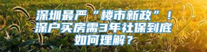 深圳最严“楼市新政”！深户买房需3年社保到底如何理解？