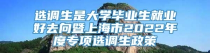 选调生是大学毕业生就业好去向暨上海市2022年度专项选调生政策