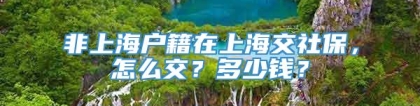 非上海户籍在上海交社保，怎么交？多少钱？