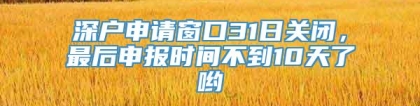 深户申请窗口31日关闭，最后申报时间不到10天了哟