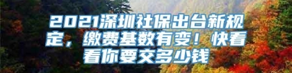 2021深圳社保出台新规定，缴费基数有变！快看看你要交多少钱