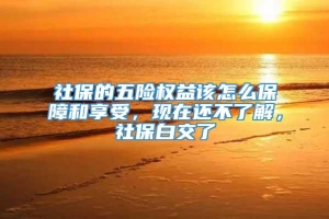 社保的五险权益该怎么保障和享受，现在还不了解，社保白交了