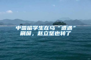 中国留学生在乌“遭遇”刷屏，赵立坚也转了