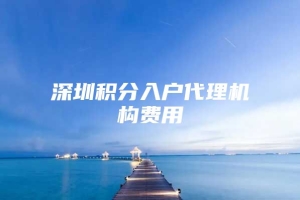 深圳积分入户代理机构费用