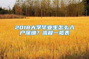 2018大学毕业生怎么入户深圳？流程一览表