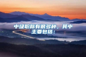 中级职称有很多种，其中主要包括：