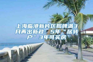 上海临港新片区揭牌满3月再出新政：5年“居转户”3年可买房