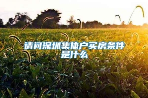 请问深圳集体户买房条件是什么