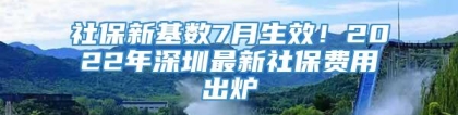 社保新基数7月生效！2022年深圳最新社保费用出炉