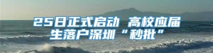 25日正式启动 高校应届生落户深圳“秒批”