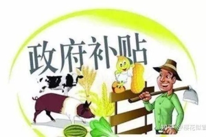 深圳人才引进申请补贴的常见问题及解答！