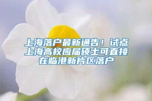 上海落户最新通告！试点上海高校应届硕士可直接在临港新片区落户