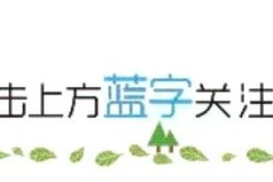 【就业创业政策】宿州市支持本地高校毕业生留宿就业创业政策来啦