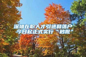 深圳在职人才引进和落户 今日起正式实行“秒批”